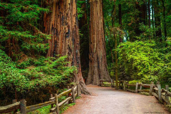 Обои картинки фото природа, дороги, тракт