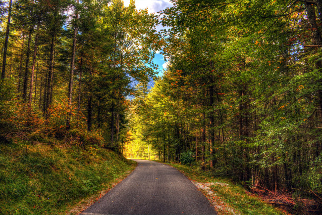 Обои картинки фото природа, дороги, тракт