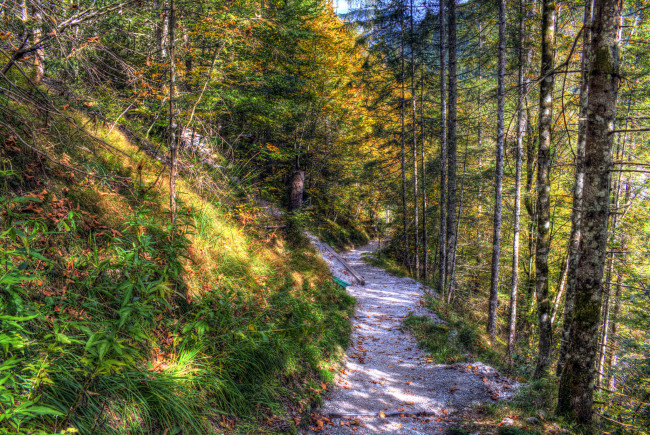 Обои картинки фото природа, дороги, тракт