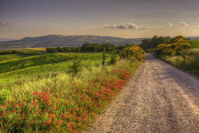 Обои картинки фото природа, дороги, тракт