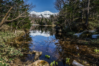 Картинка природа реки озера река лес