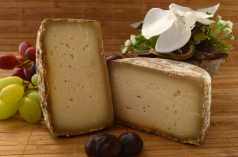 Картинка еда сырные+изделия сыр