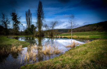 Картинка природа реки озера река лес