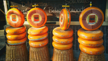 Картинка еда сырные+изделия сыр