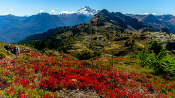 Картинка природа горы простор