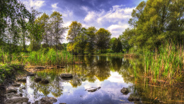 Картинка природа реки озера река лес