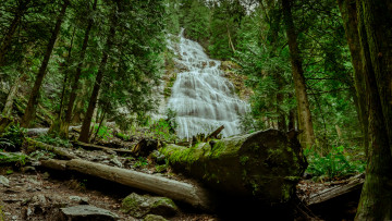 Картинка природа водопады водопад река лес