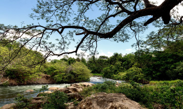 Картинка природа реки озера река лес