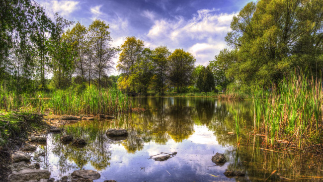 Обои картинки фото природа, реки, озера, река, лес