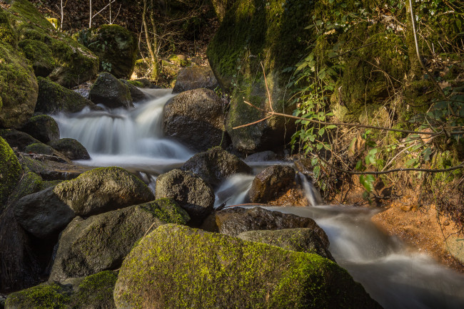 Обои картинки фото природа, реки, озера, река, лес