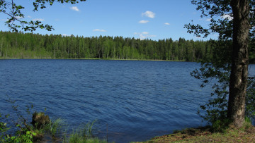 Картинка озеро+щучье природа реки озера озеро лес деревья лето карельский перешеек