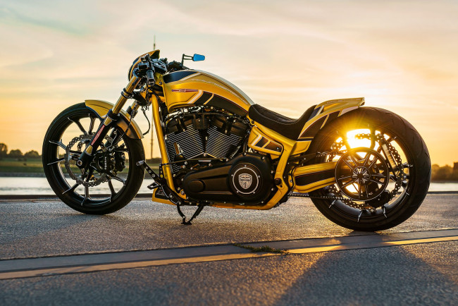 Обои картинки фото харлей, мотоциклы, harley-davidson, мотоцикл, байк, thunderbike, customs