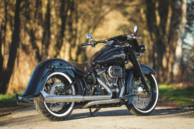 Обои картинки фото harley, мотоциклы, harley-davidson, thunderbike, customs, мотоцикл, байк