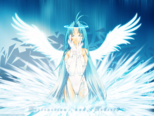 обоя аниме, megami, kouhosei