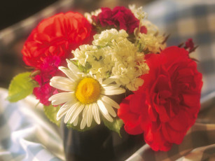 Картинка цветы букеты композиции