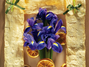 Картинка цветы ирисы