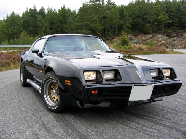 Обои картинки фото транс, эм, автомобили, pontiac