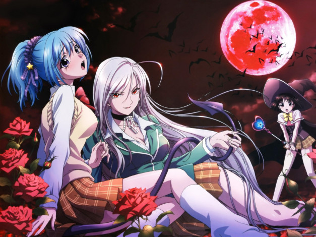 Обои картинки фото аниме, rosario, vampire