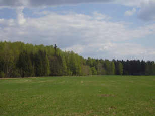 Картинка природа луга