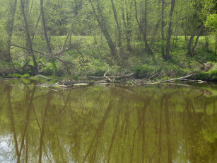 Картинка природа реки озера