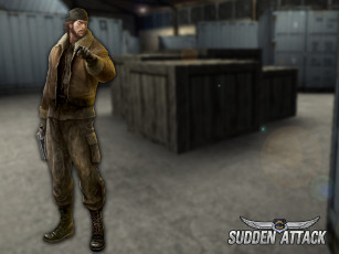 Картинка sudden attack видео игры