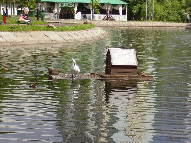 Обои картинки фото природа, парк