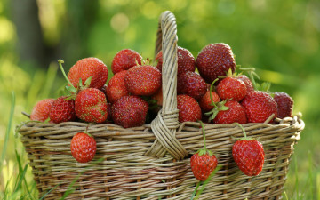 Картинка авт vladimir lesnikov еда клубника земляника