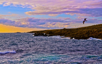 Картинка природа побережье