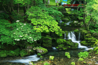 Картинка природа реки озера река деревья