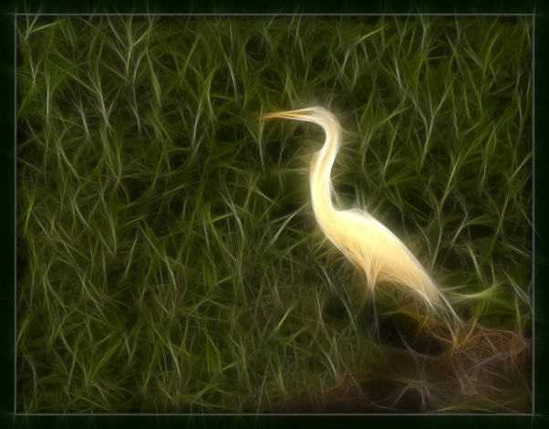 Обои картинки фото 3д, графика, animals, животные, аист