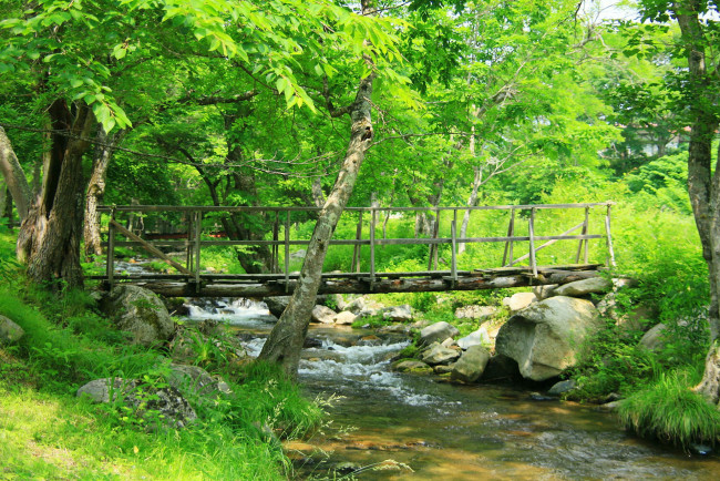 Обои картинки фото природа, реки, озера, река, мост