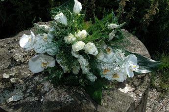 Картинка цветы букеты композиции калии розы букет