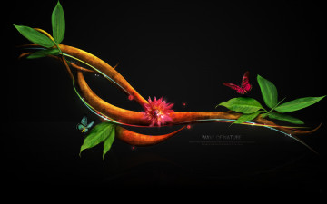 Картинка 3д графика nature landscape природа бабочки ветка листья