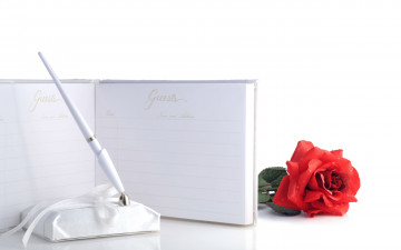 Картинка цветы розы