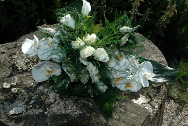 Обои картинки фото цветы, букеты, композиции, калии, розы, букет