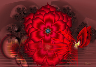 Картинка 3д графика fractal фракталы фон цвета узор