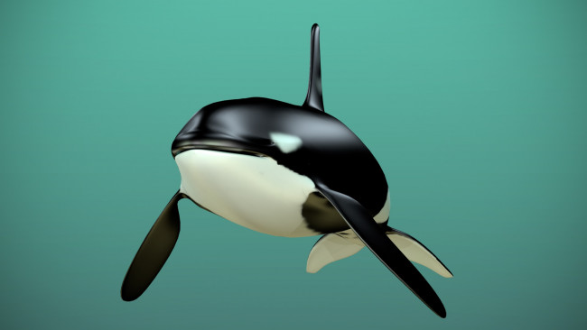 Обои картинки фото 3д, графика, animals, животные, дельфин