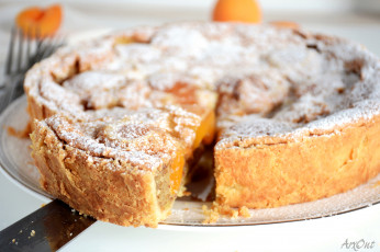 Картинка еда пироги абрикосовый