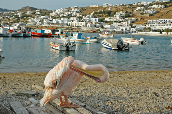 обоя миконос греция, города, - улицы,  площади,  набережные, mykonos, залив, дома, greece