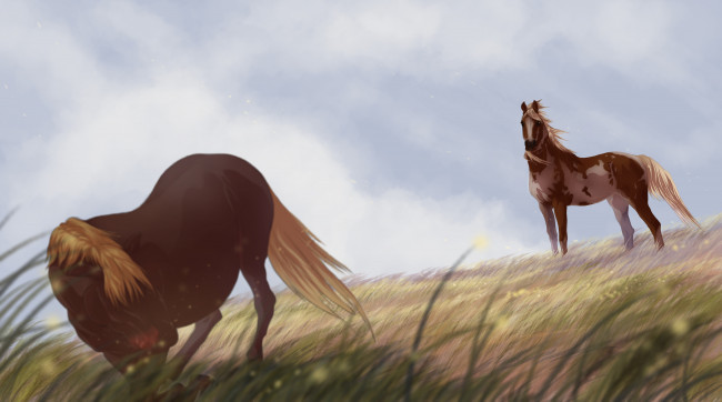 Обои картинки фото рисованные, животные,  лошади, лошади