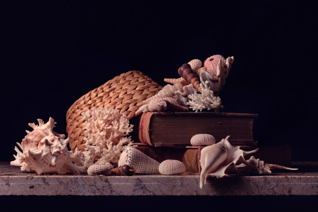 Обои картинки фото разное, ракушки,  кораллы,  декоративные и spa-камни, corals, shells, hat, книги, шляпа, кораллы, books