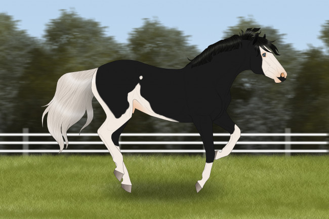 Обои картинки фото рисованные, животные,  лошади, лошадь