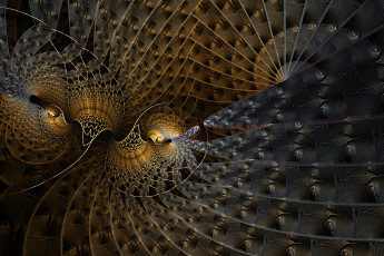 Картинка 3д+графика фракталы+ fractal фон узор цвета