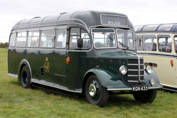 Картинка автомобили автобусы транспорт пассажирский