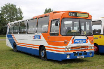 Картинка автомобили автобусы транспорт пассажирский