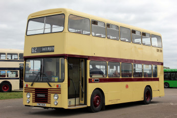 Картинка автомобили автобусы транспорт пассажирский