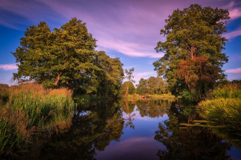 Картинка природа реки озера лес река