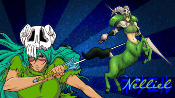 Картинка аниме bleach arrancar vasto lorde nelliel tu odelschwanck
