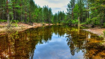 Картинка природа реки озера лес река