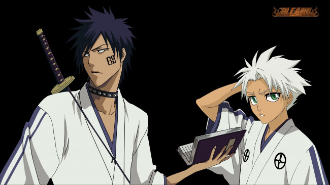 Обои картинки фото аниме, bleach, shuhei, hisagi, тоуширо, хитцугая, хисаги, шухей, by, kitabug69